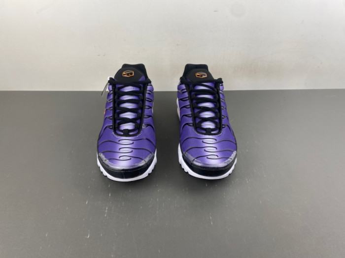 Nike Air Max Plus OG 