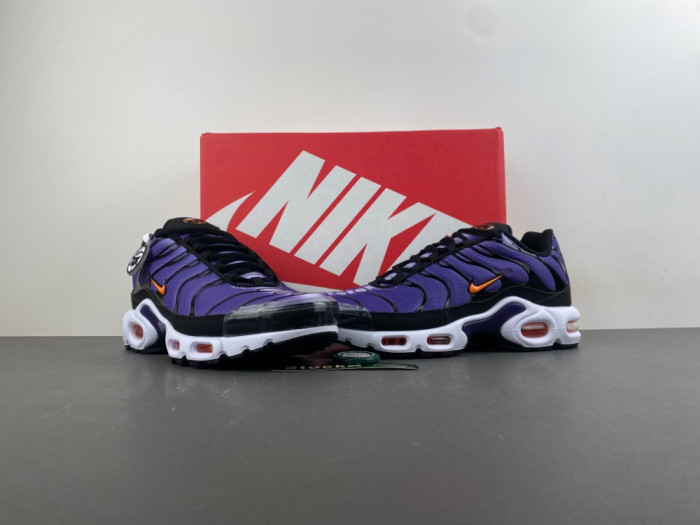 Nike Air Max Plus OG 