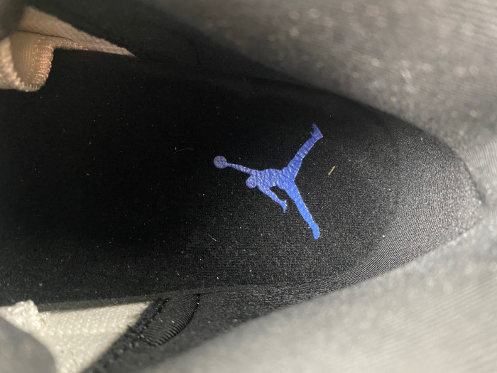 Air Jordan 12 “Blueberry” CT8013-140
