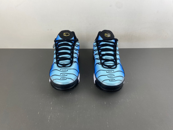 Nike Air Max Plus 
