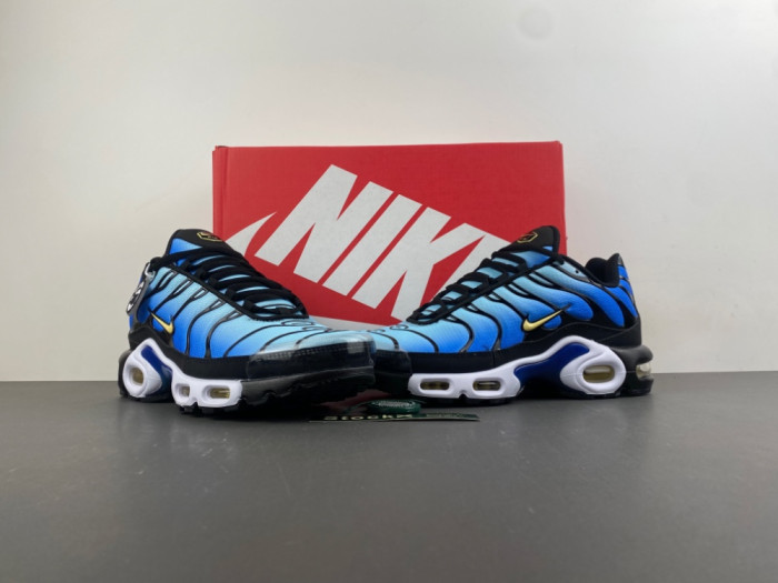 Nike Air Max Plus 