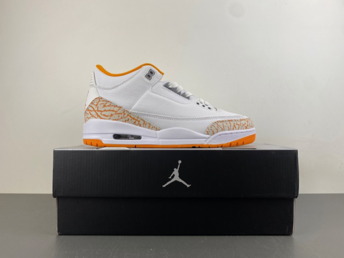 Air Jordan 3 