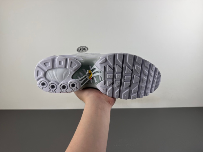 Nike Wmns Air Max Plus 