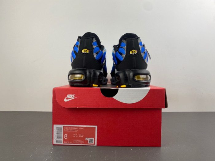 Nike Air Max Plus 