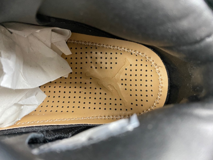 Air Jordan 6 Retro Premio 