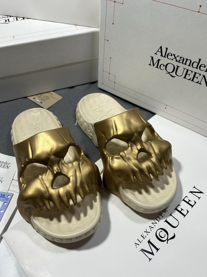 maq slides mcs-002