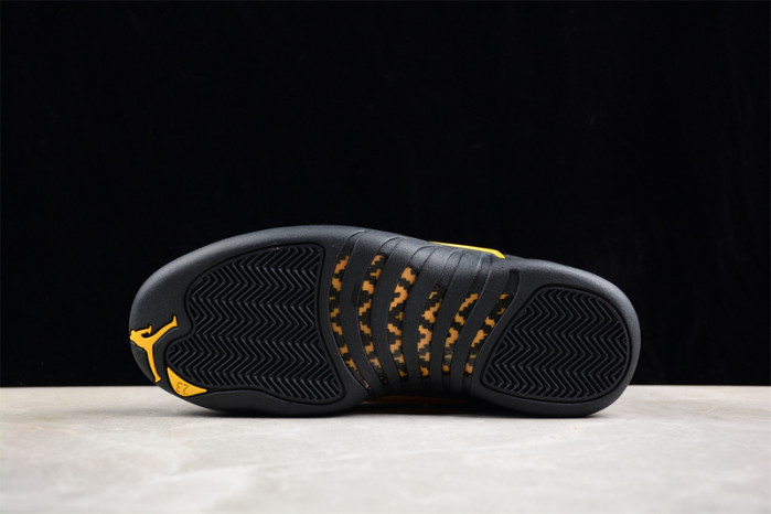 Air Jordan 12 Retro 