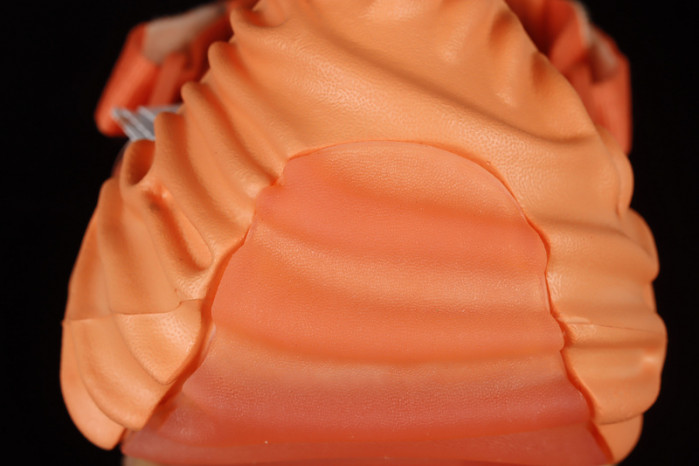 Salehe Bembury x Cr0c5 Polle x Clog "Orange" AE859-256