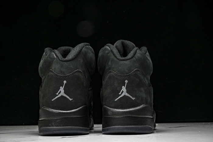 Air Jordan 5 Retro SE 