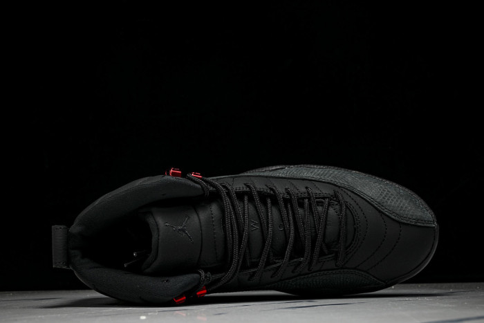 Air Jordan 12 Retro 