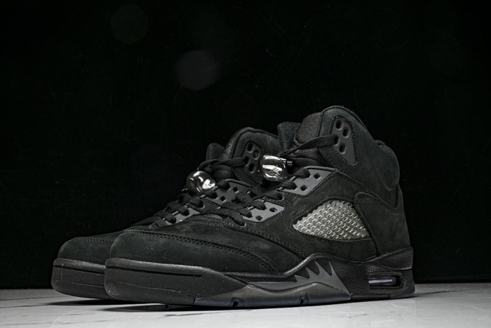 Air Jordan 5 Retro SE 