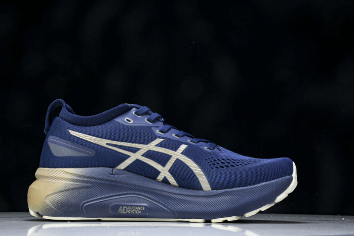 As1cs Gel-Kayano 1203A719-248