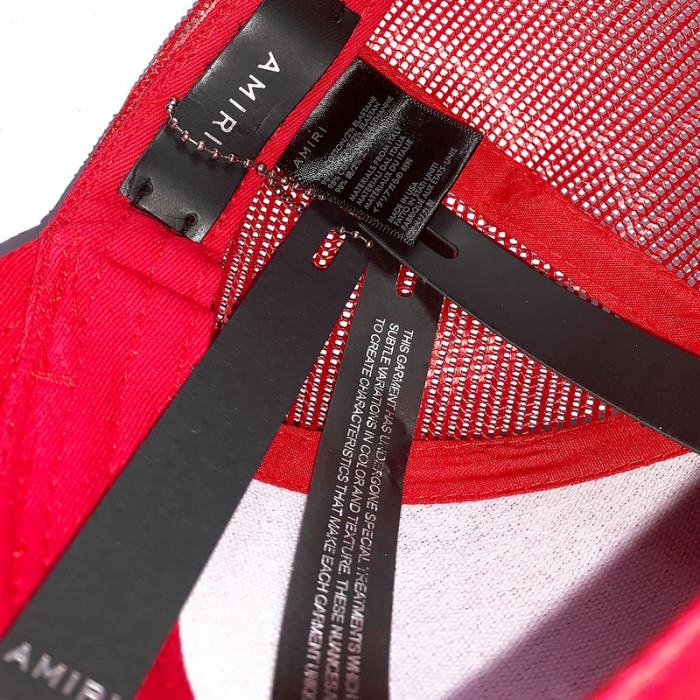am1r1 am229-065