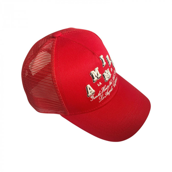 am1r1 am229-065