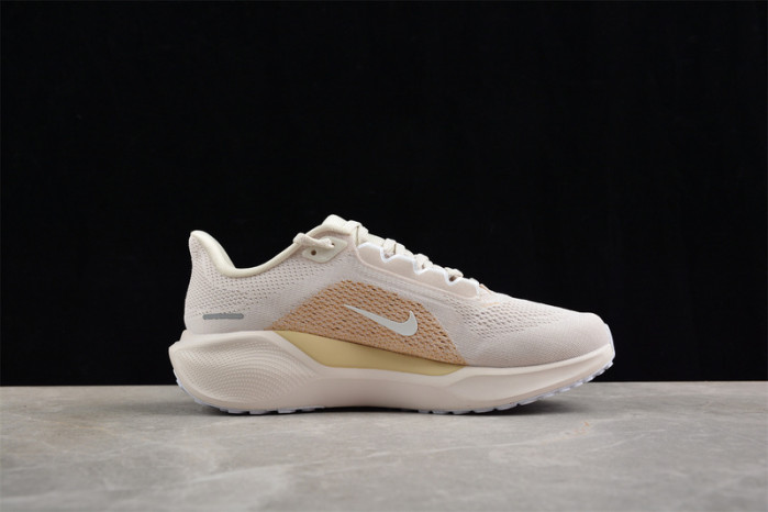 Nike Air Zoom Pegasus 41 