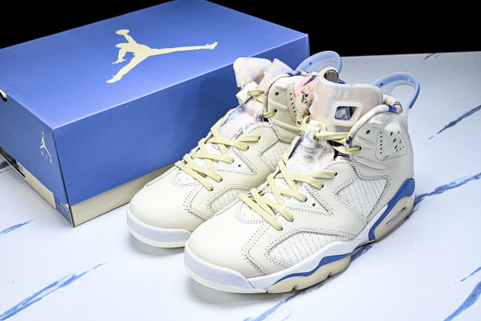 Air Jordan 6 Retro 