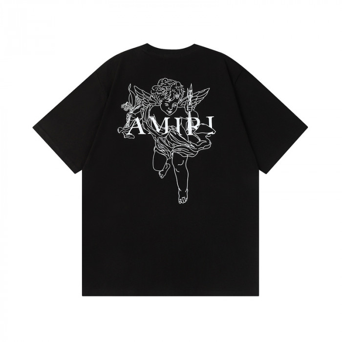 am1r1 am229-041