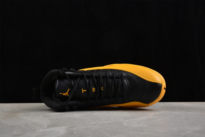 Air Jordan 12 Retro 