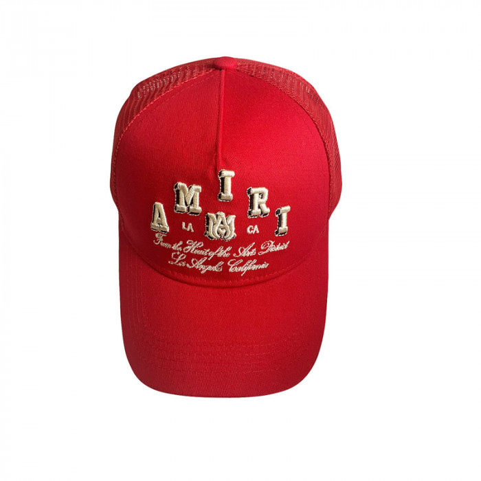 am1r1 am229-065