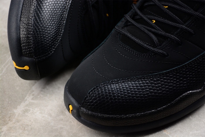 Air Jordan 12 Retro 
