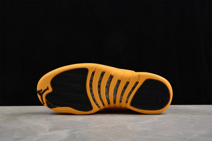 Air Jordan 12 Retro 