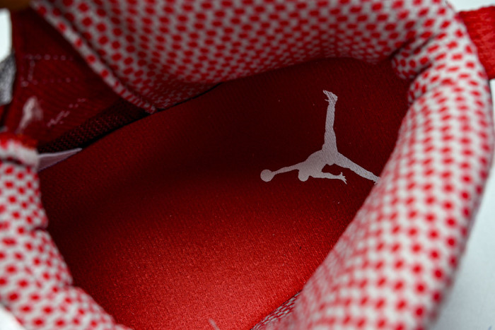 Nike Air Jordan 10 Retro 