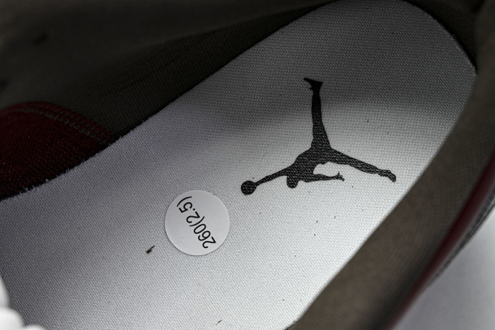Air Jordan 1 Low SE 