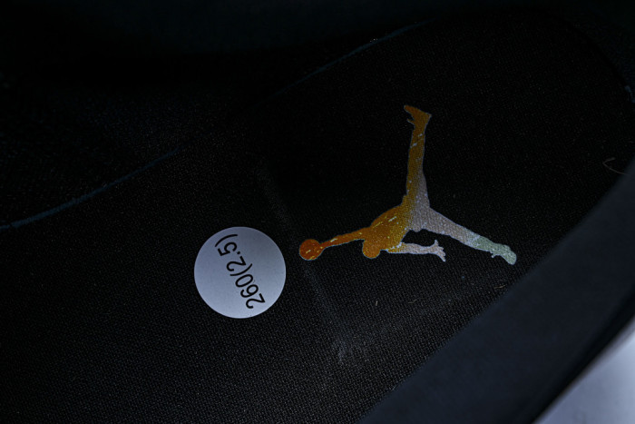 Air Jordan 1 Low SE 