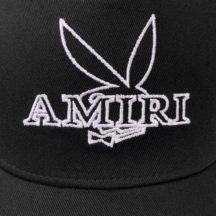 AM1R1 AM229-118